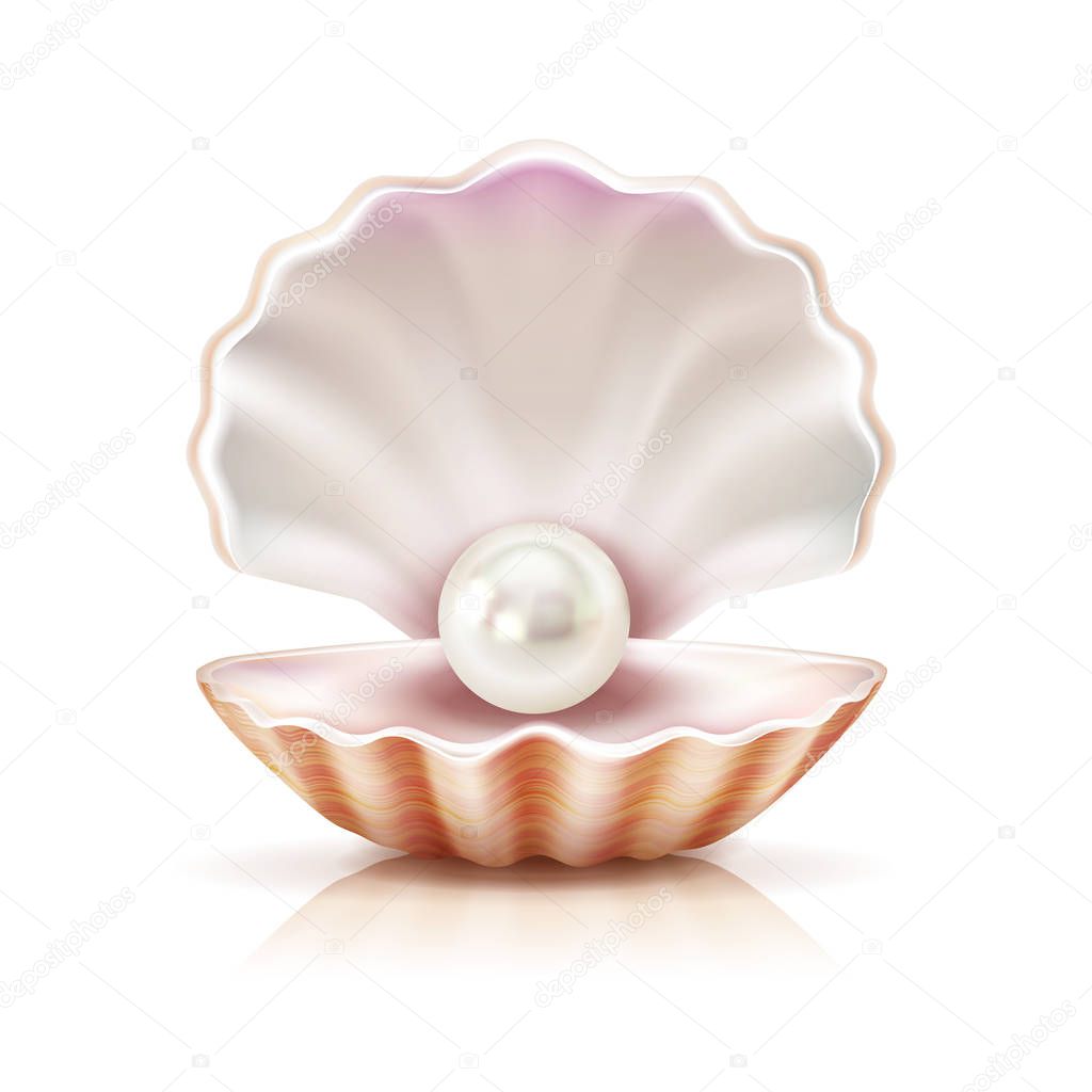 Shell Pearl Realistic Isolated Image