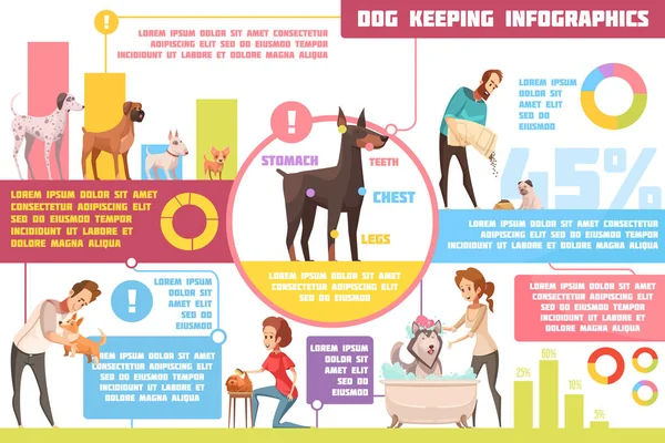 Allenamento alimentazione cani Infografica cartone animato — Vettoriale Stock