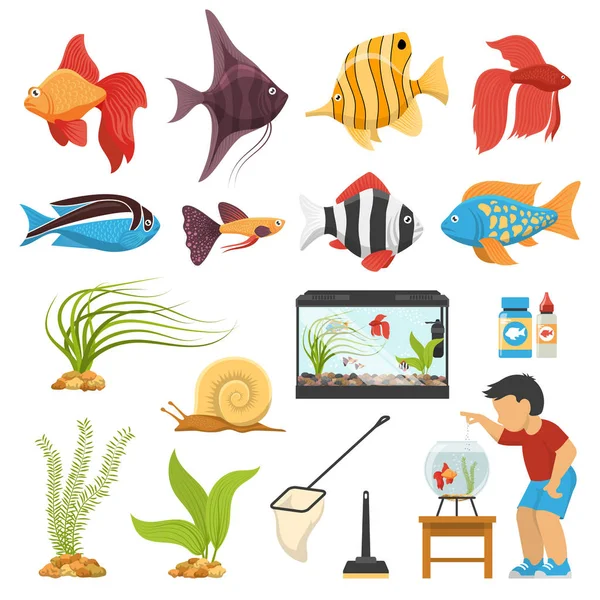 Acquario Acquario Pesce Set — Vettoriale Stock