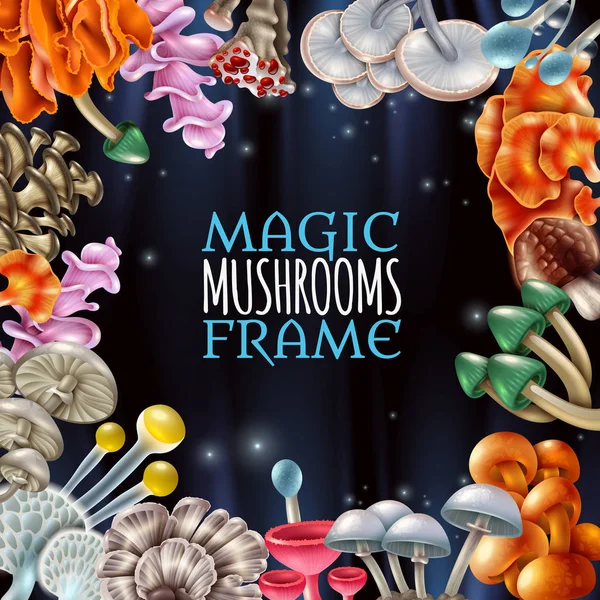 Magic Mushrooms Frame Background — Stock Vector