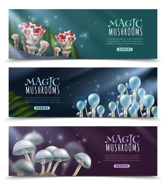 Magic Mushrooms Horizontal Banners Set — Stock Vector