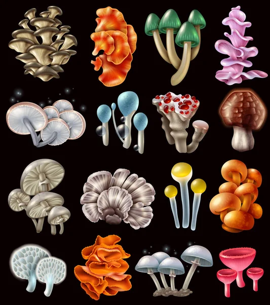 Ensemble de champignons magiques colorés — Image vectorielle