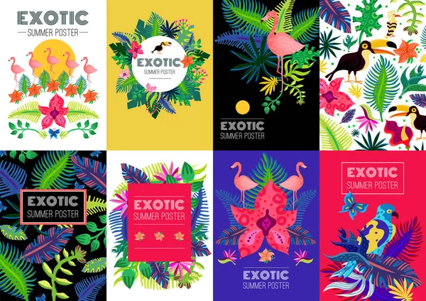 Egzotik tropik renkli afiş koleksiyonu — Stok Vektör