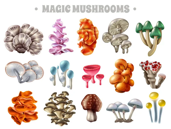 Magic Mushrooms Set — Stock Vector