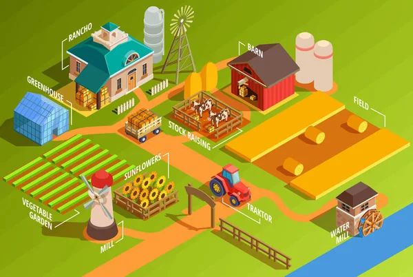 Infográficos Isométricos da Fazenda —  Vetores de Stock