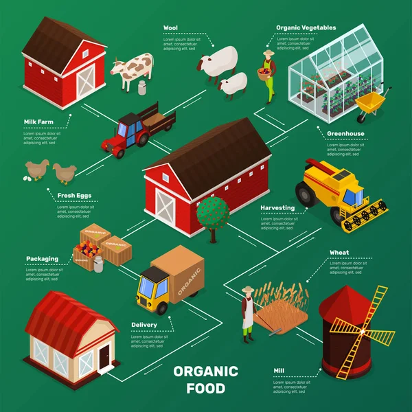 Fluxograma de produção de alimentos agrícolas — Vetor de Stock