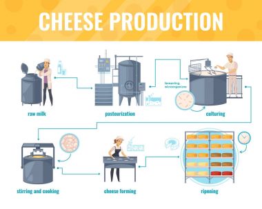 Peynir üretim çizgi film Infographics