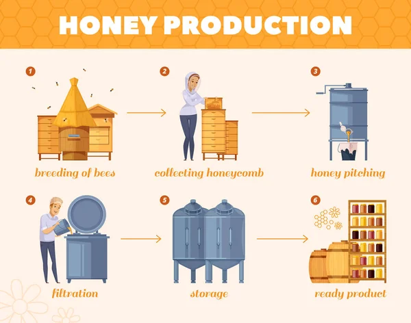 Processus de production de miel Organigramme de bande dessinée — Image vectorielle