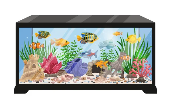 Aquarium Tank Cartoon Illustration — Stock Vector