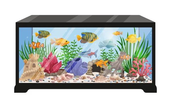 Acquario serbatoio cartone animato illustrazione — Vettoriale Stock