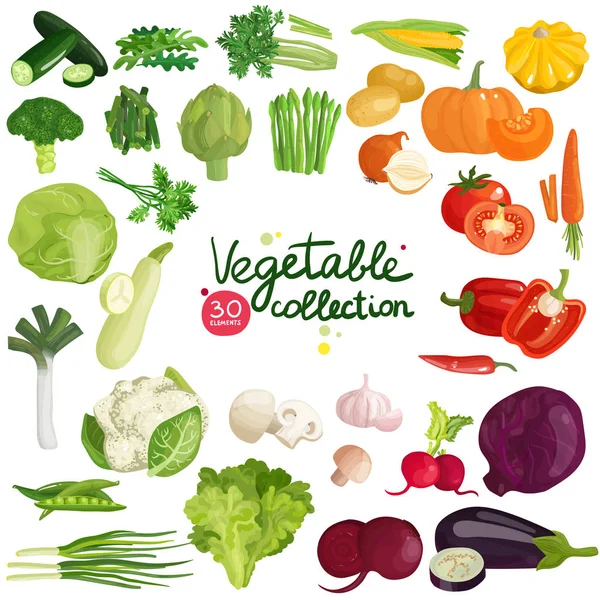 Sebze ve otlar koleksiyonu — Stok Vektör