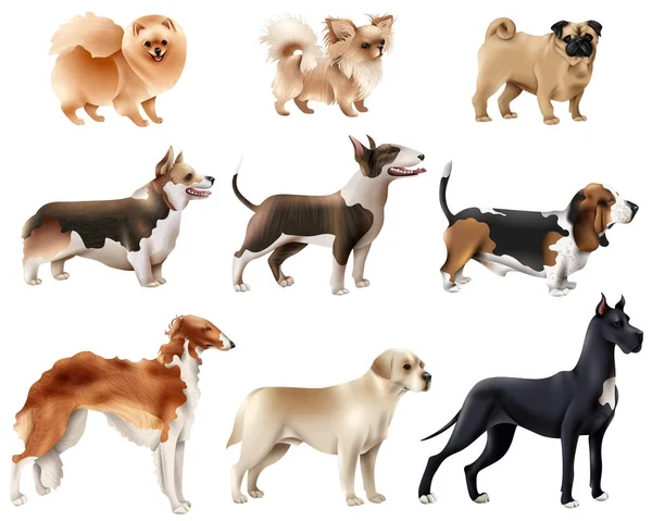 Dog Breeds Icon Set — Stock Vector