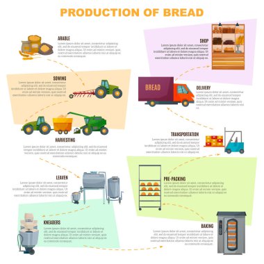 Infographics ekmek üretim aşamaları