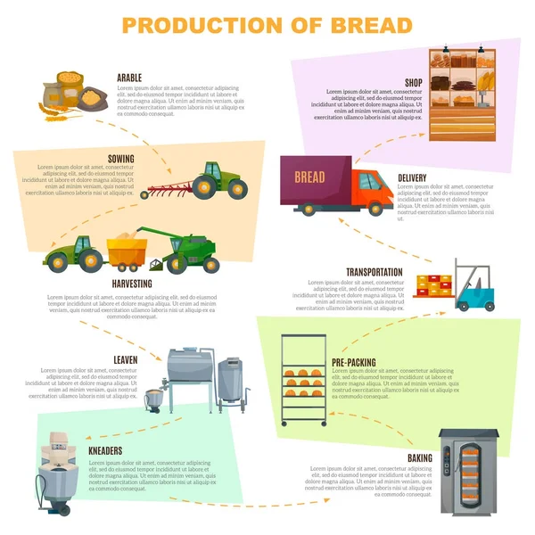 Infographics ekmek üretim aşamaları — Stok Vektör