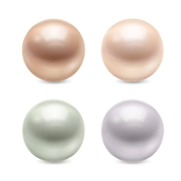 Conjunto de perlas realistas — Vector de stock