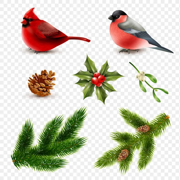 Winter Birds Fir Branches Set — Stock Vector