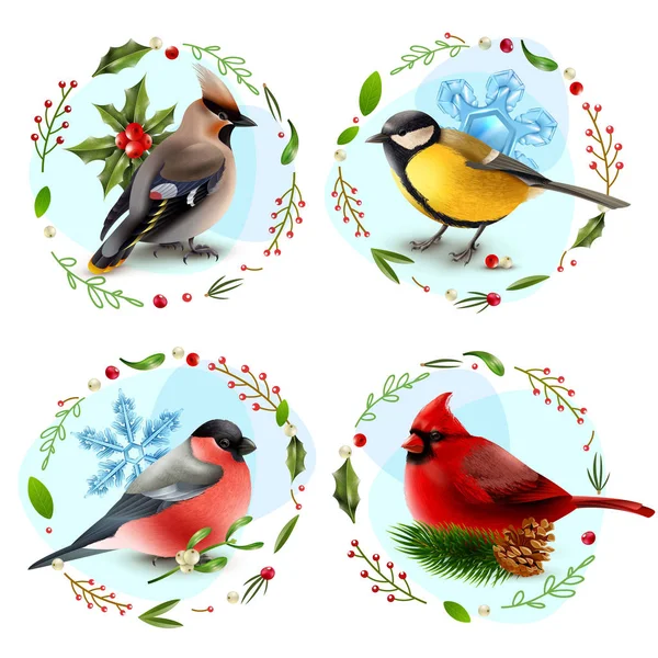 Winter Birds Design Concept — Stock Vector