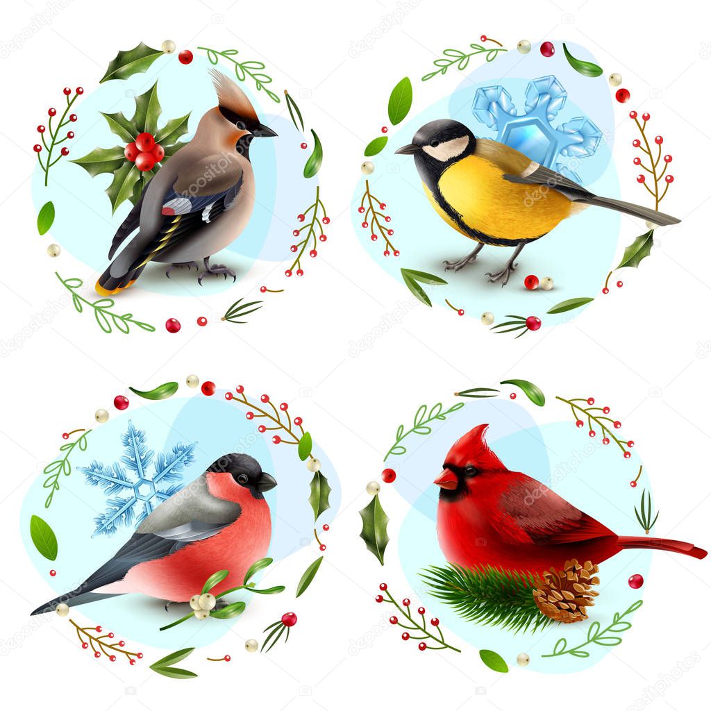 Winter Birds Design Concept