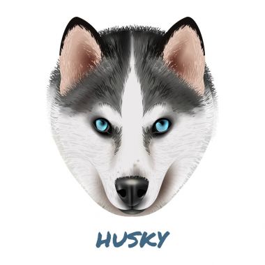 Gerçekçi köpek Husky dikey kompozisyon