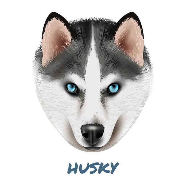 Composizione realistica del ritratto del cane Husky — Vettoriale Stock