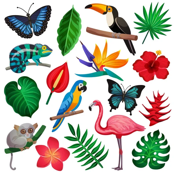 Tropical Exotic Icon Set — Stock Vector