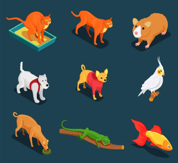 Tienda de Mascotas Set de iconos isométricos — Vector de stock