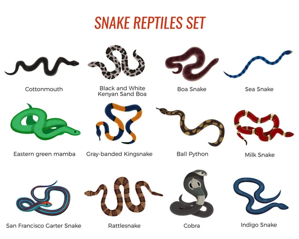 Serpents Reptiles Set — Image vectorielle