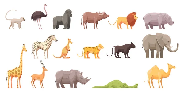 Set de Animales Tropicales Salvajes — Vector de stock