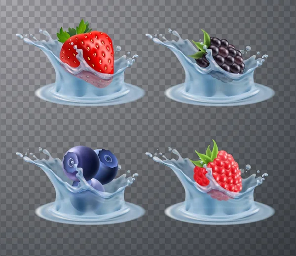 Berries Water Splashes Realistic Set — Stock Vector