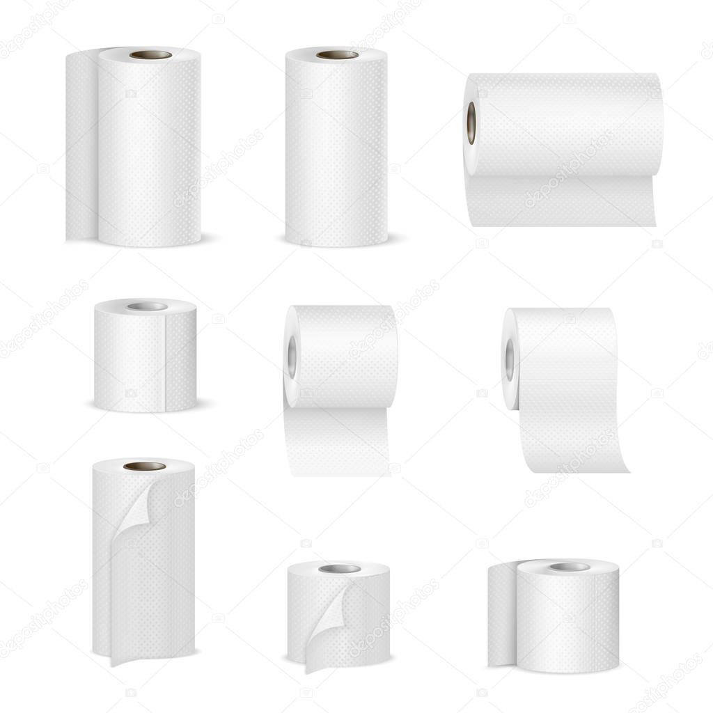 Paper Towels Toilet Rolls Realistic