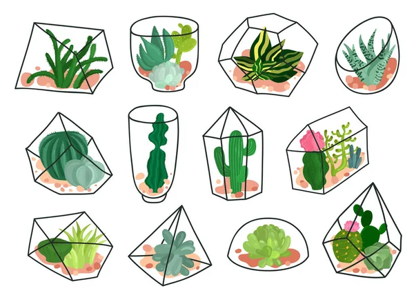 Set de florarii geometrice Cacti Suculente — Vector de stoc