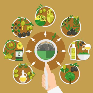 Zeytin kompozisyon seçimi