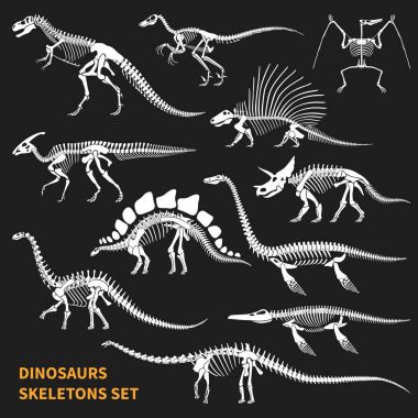 Dinozor iskeletleri kara tahta Icons Set