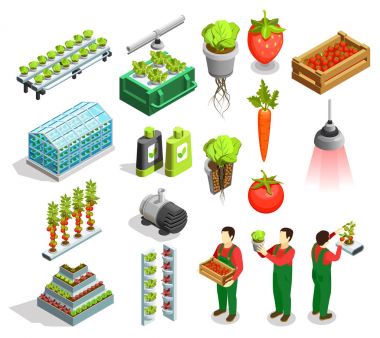 Hydroponic ve Aeroponic izometrik simgeler
