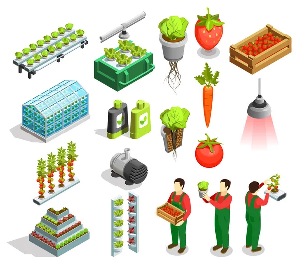 Aeroponic 수경 아이소메트릭 아이콘 — 스톡 벡터