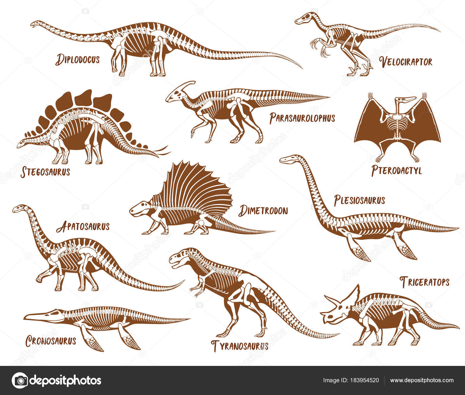 Dinosaurer, dekorative ikoniske sett stockvektor © macrovector #183954520, image size:1600x1357