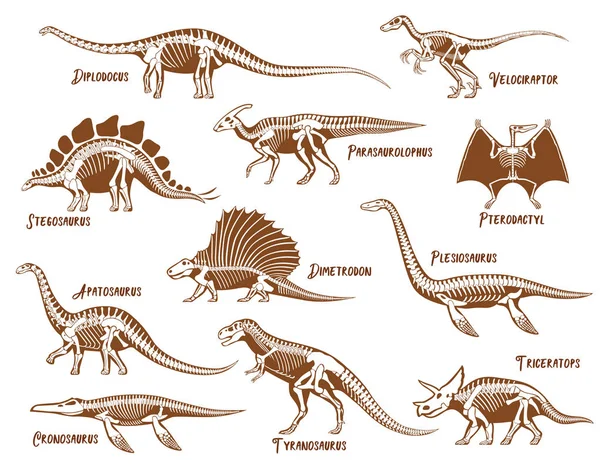 Conjunto de iconos decorativos de dinosaurios — Archivo Imágenes Vectoriales