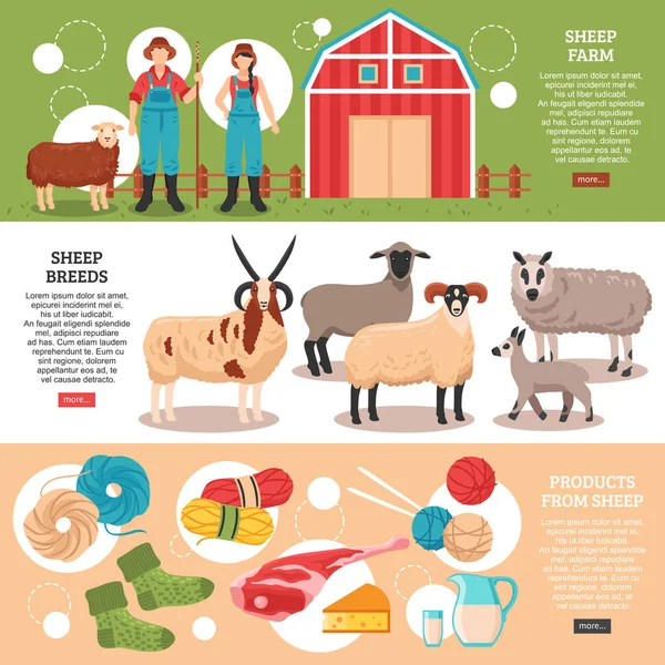 Banners planos de criação de ovelhas —  Vetores de Stock