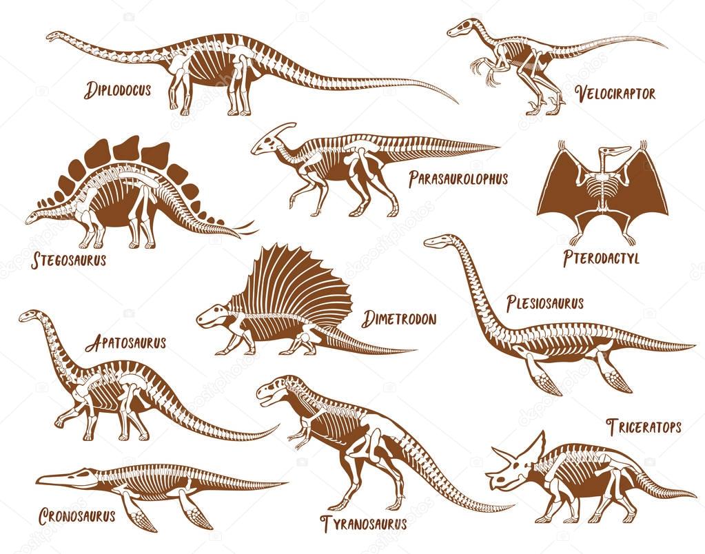 Dinosaurs Decorative Icons Set