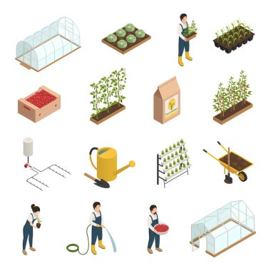Sera öğeler izometrik Icons Set