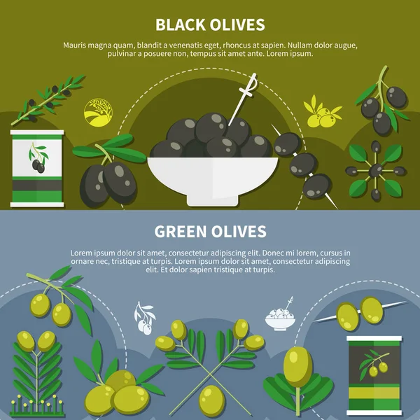 Olive Bandiere piatte — Vettoriale Stock