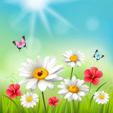 Daisy gerçekçi 3d kompozisyon
