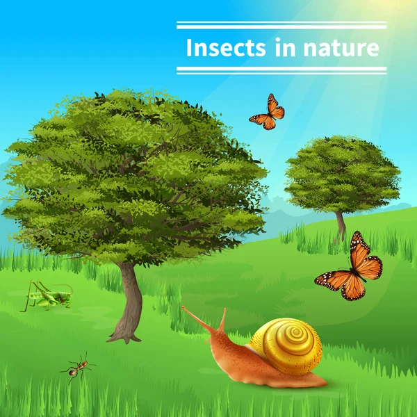 달팽이 곤충 자연 포스터 — 스톡 벡터