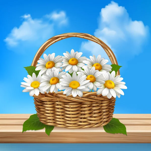 Daisy realistische gekleurde samenstelling — Stockvector