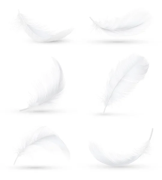 White Feathers realistyczny zestaw — Wektor stockowy