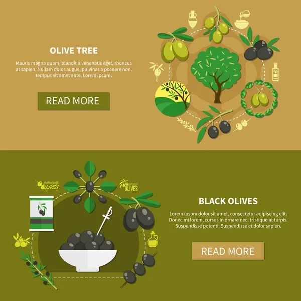 Olive Tree οριζόντια πανό — Διανυσματικό Αρχείο