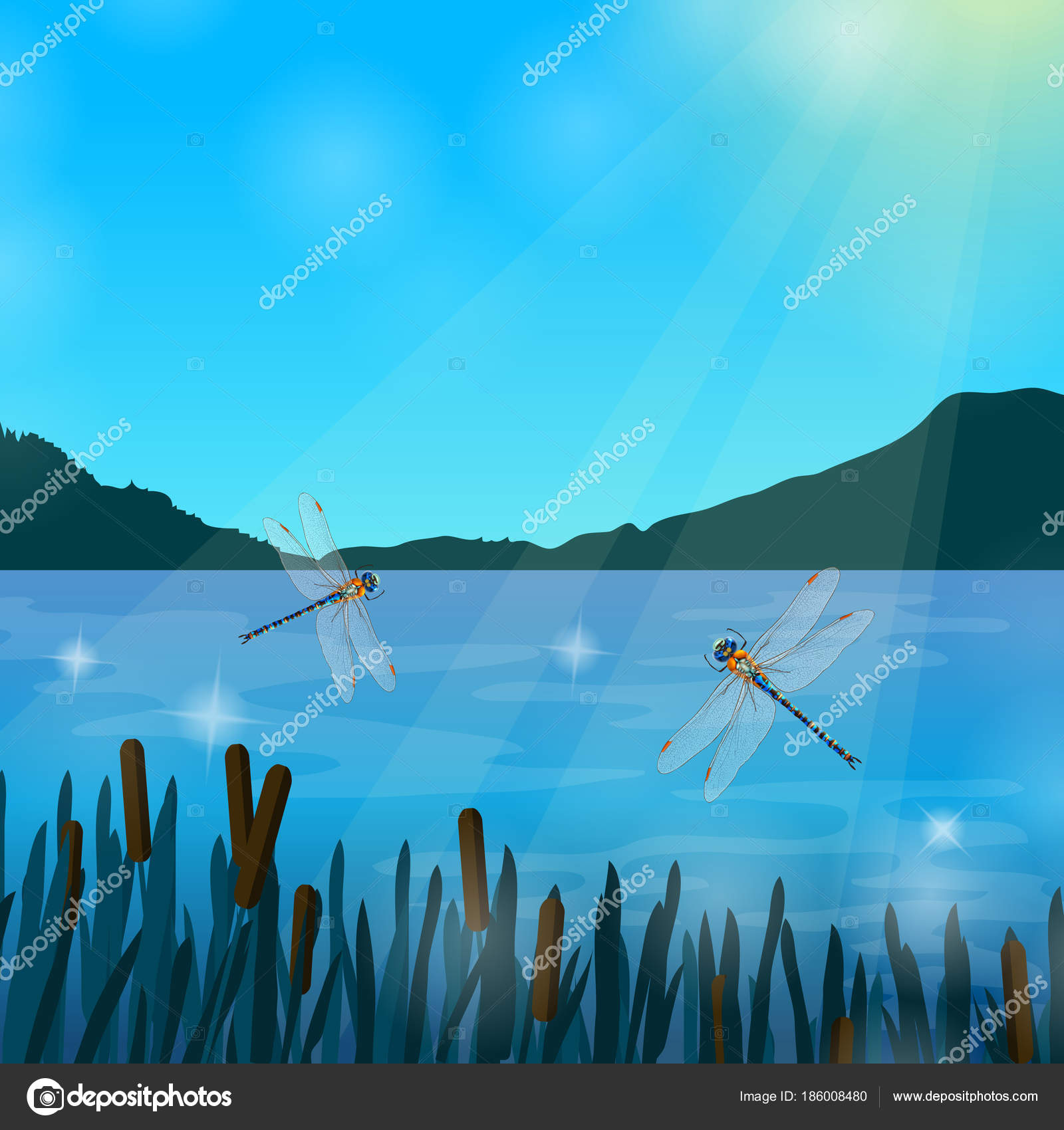 Sezione - Tara & simili > - Pagina 8 Depositphotos_186008480-stock-illustration-insects-dragonflies-realistic