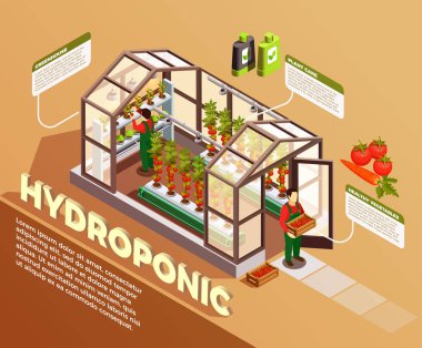 Hydroponic izometrik kompozisyon