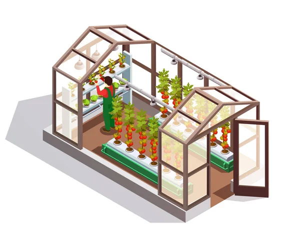 Invernadero isométrico con paredes de vidrio — Vector de stock