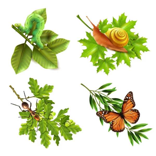 Realistické ikony hmyz — Stockový vektor
